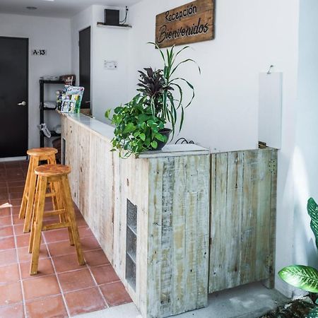 Villa Alejandra Hotel Boutique Playa del Carmen Extérieur photo
