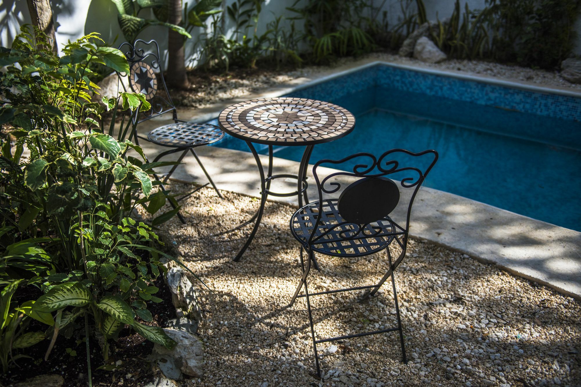 Villa Alejandra Hotel Boutique Playa del Carmen Extérieur photo