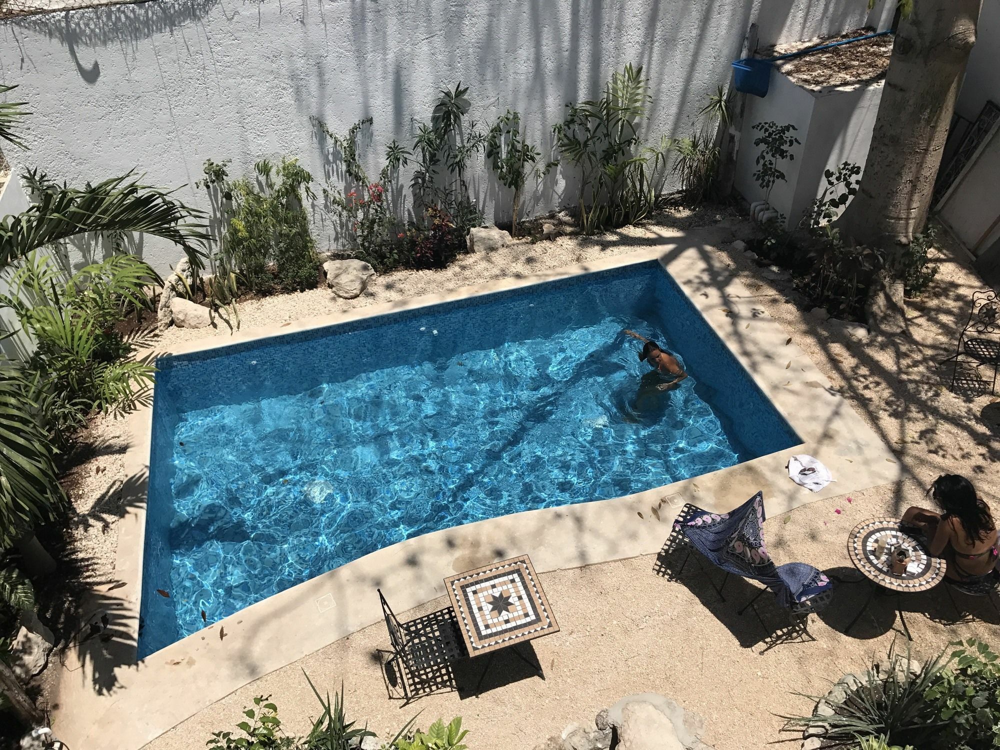 Villa Alejandra Hotel Boutique Playa del Carmen Extérieur photo