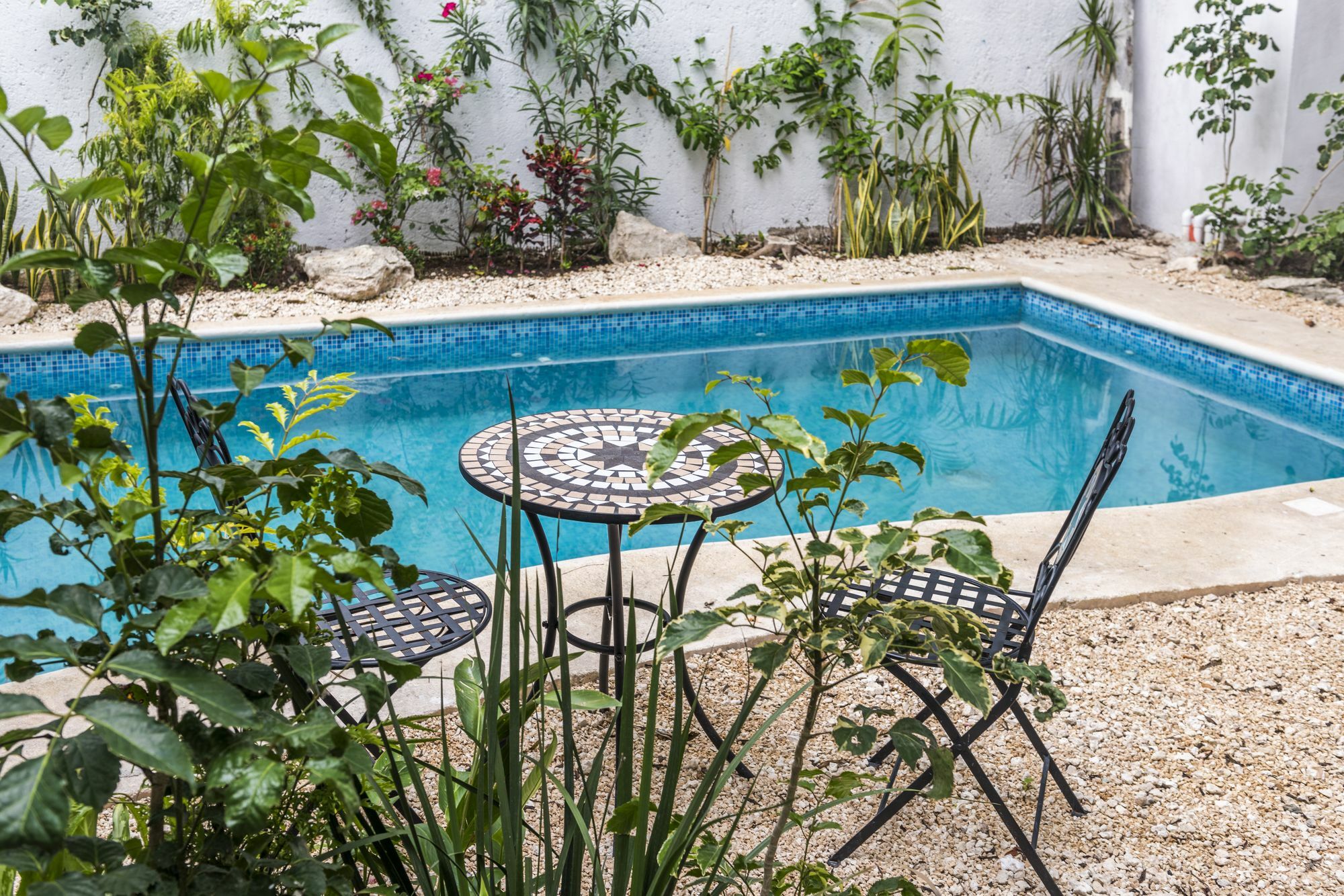 Villa Alejandra Hotel Boutique Playa del Carmen Extérieur photo